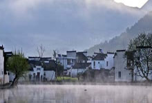 如何冲泡茶叶饮用技巧(如何冲泡茶叶饮用技巧视频)